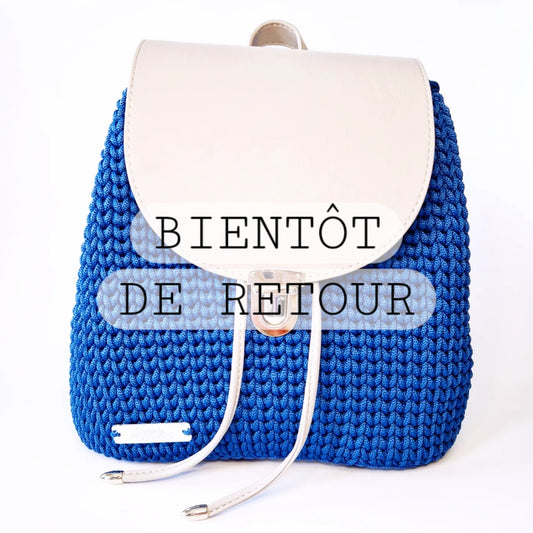 Sac à dos Bleu/Gris