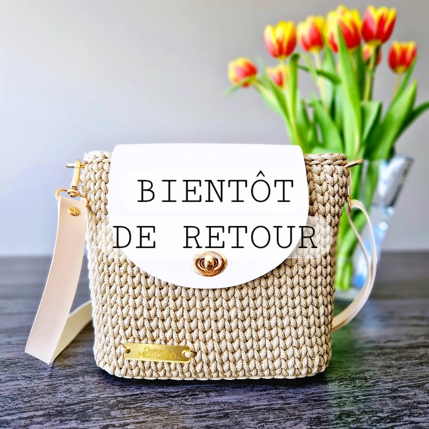 Petit sac bandoulière Beige